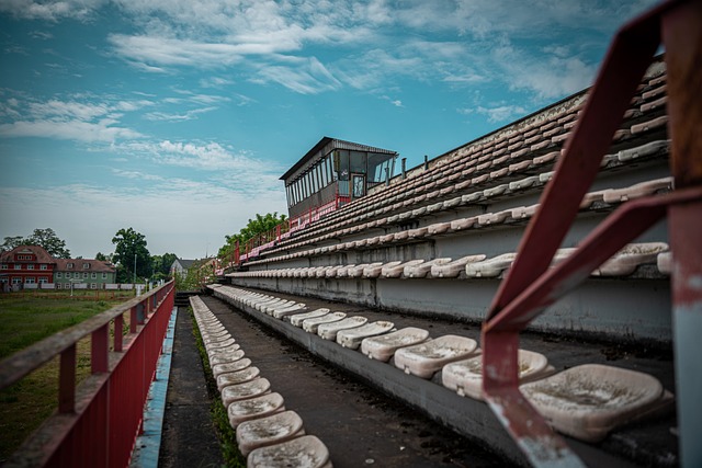 是让运动员 是让运动员