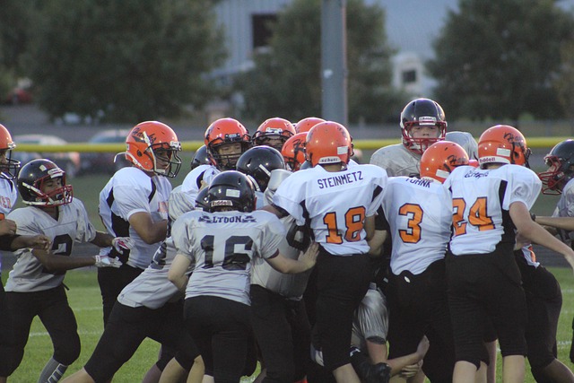 看比赛的场 看比赛的场