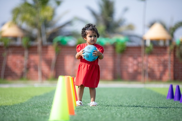 不仅展示了 不仅展示了
