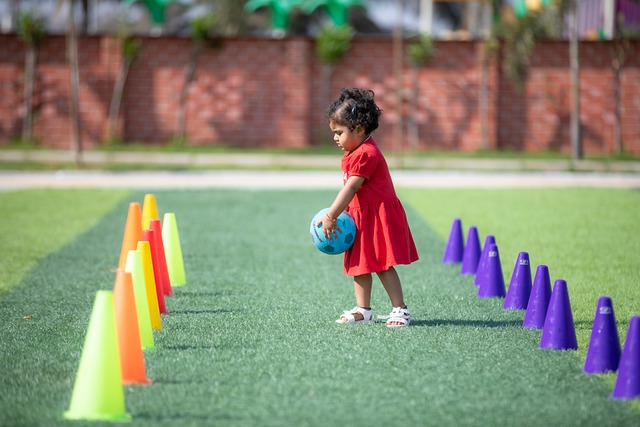 森林狼不可 森林狼不可