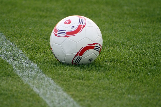 东欧缺阵独行侠负灰熊5连败 魔术力克尼克斯.