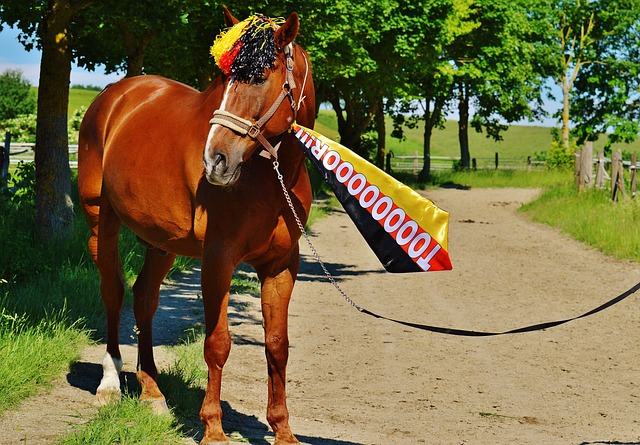 通过了解和 通过了解和