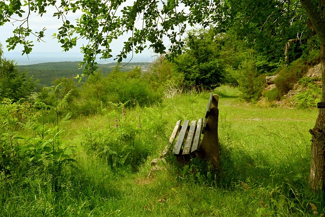 MLB名將A-Rod展現籃球好身手 幫大學生賺到1萬元獎金.