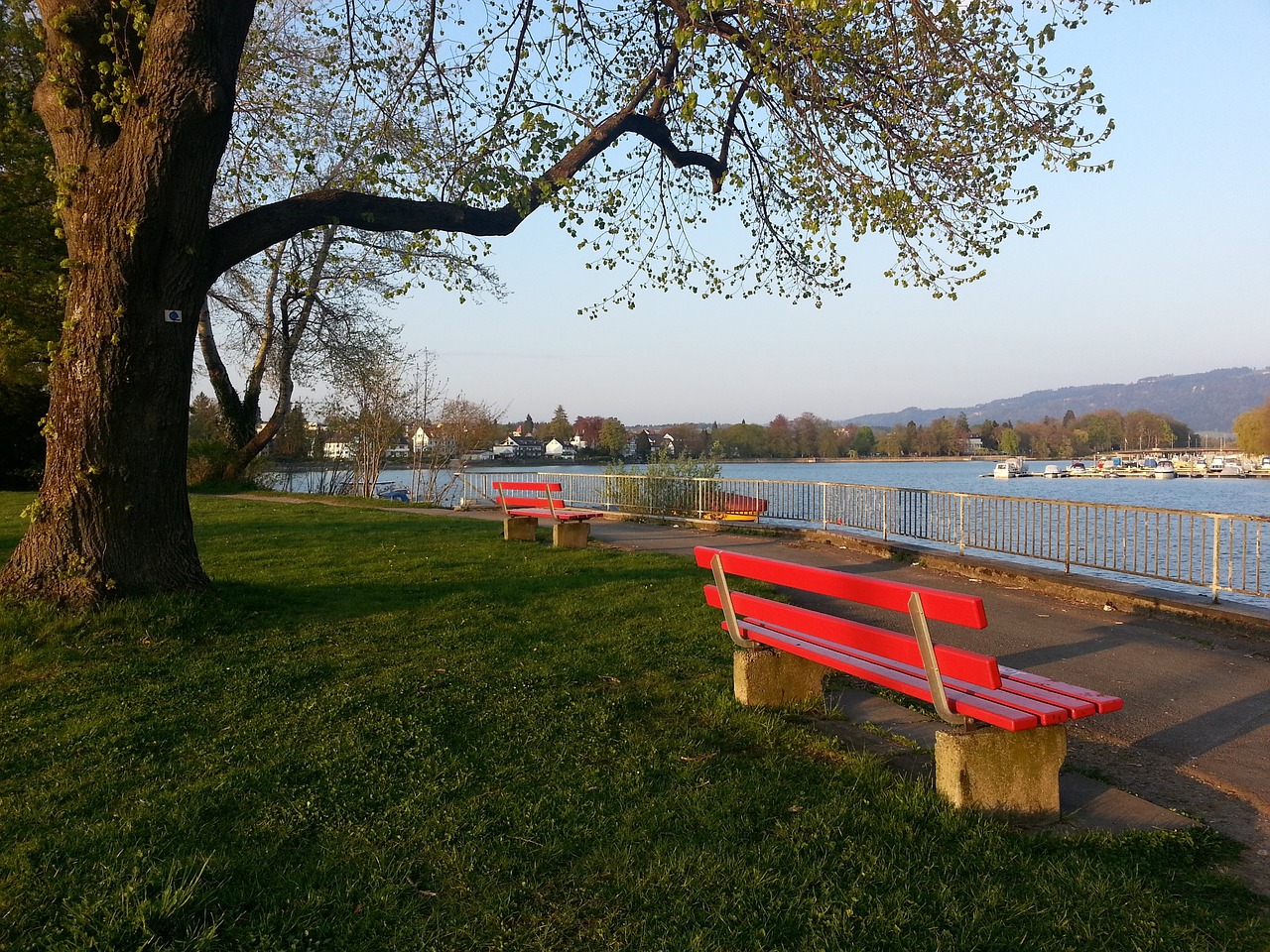 从二里头到殷墟，从钟村到三星堆——夏商考古新进展添彩“考古中国”.