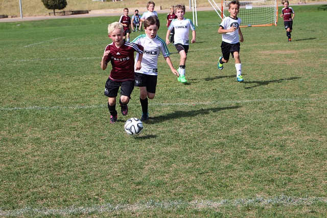 意甲第10輪卡利亞裏1-2羅馬 佩萊格裏尼傳射伊涅巴斯建功.