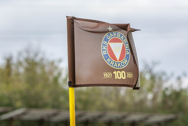 与此同时 与此同时