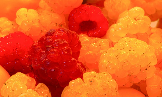 体育运动 体育运动